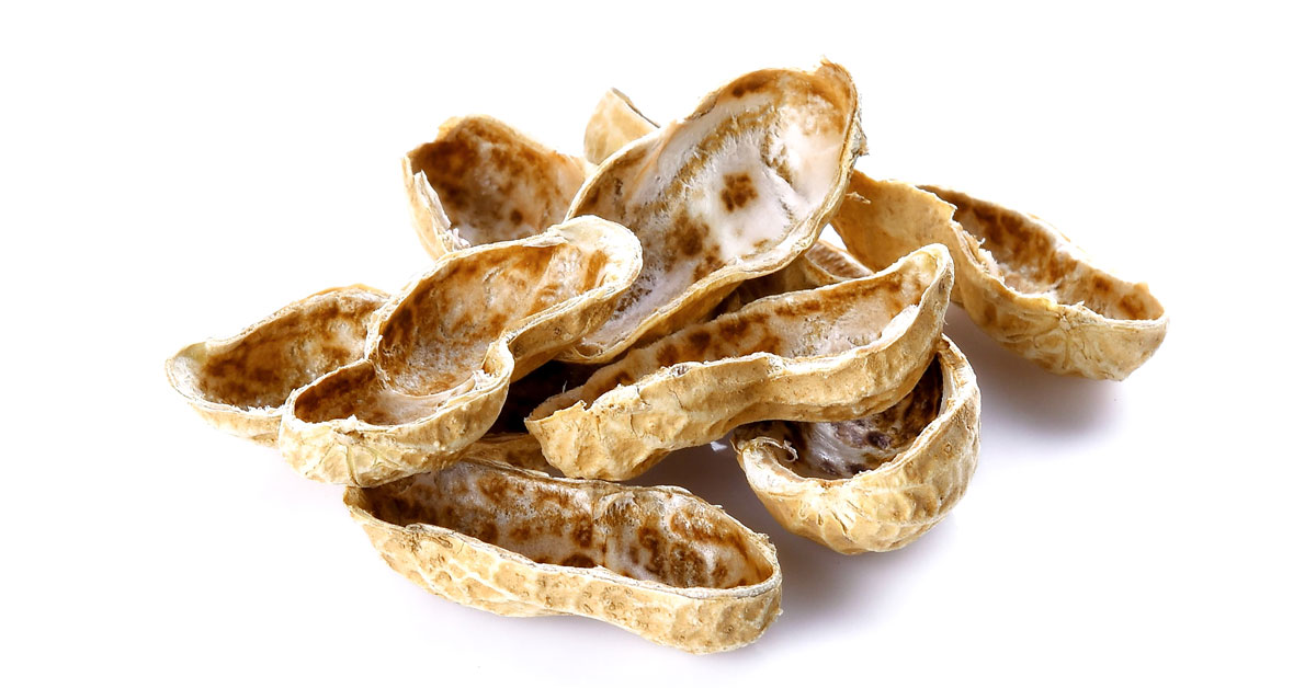 Empty peanut shells